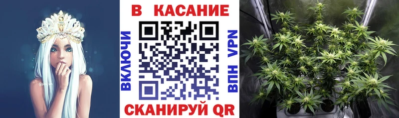 Марихуана Зеленогорск