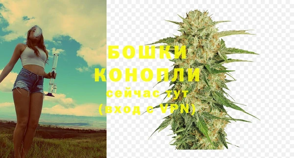 крисы Михайловка