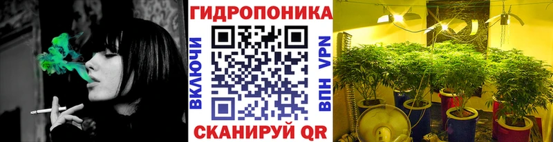 Купить Зеленогорск МАРИХУАНА OG Kush